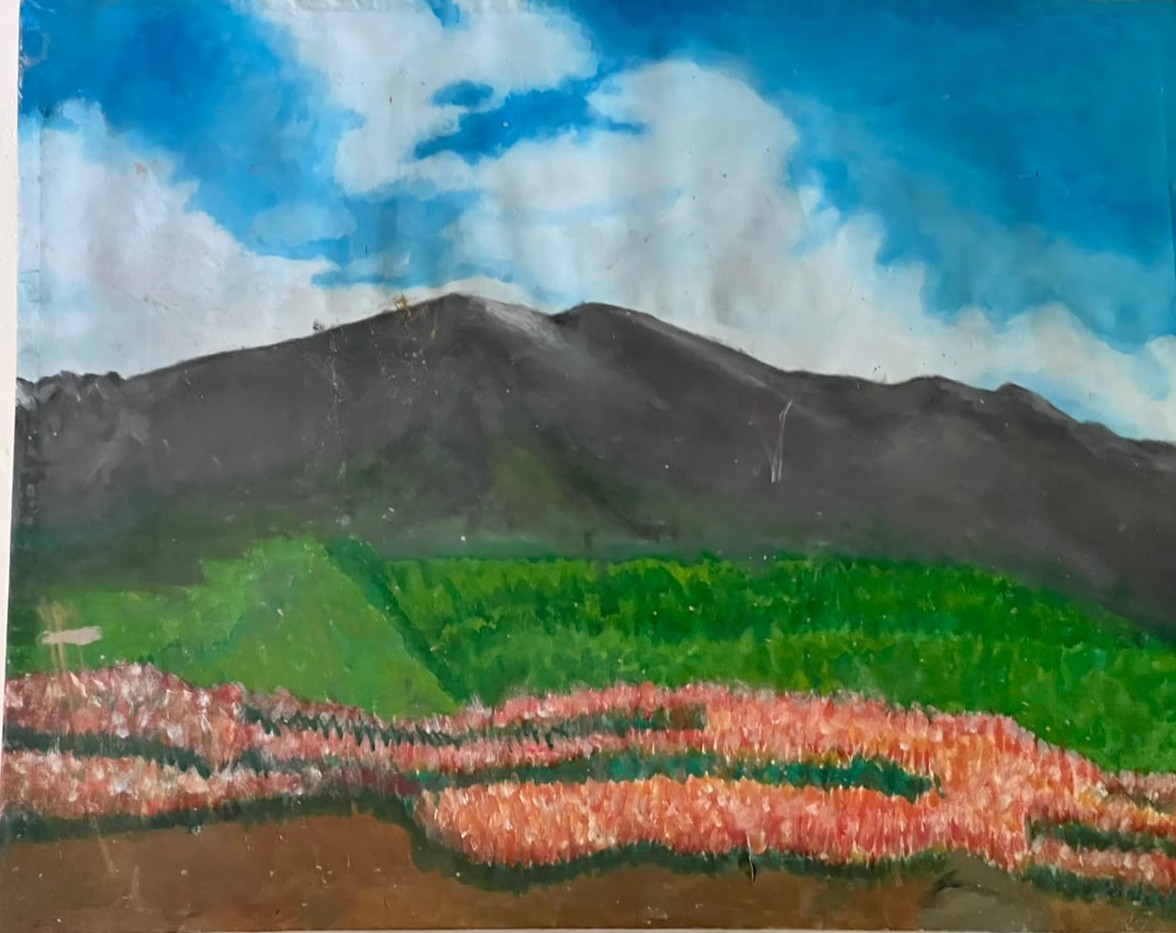 landscape daosai